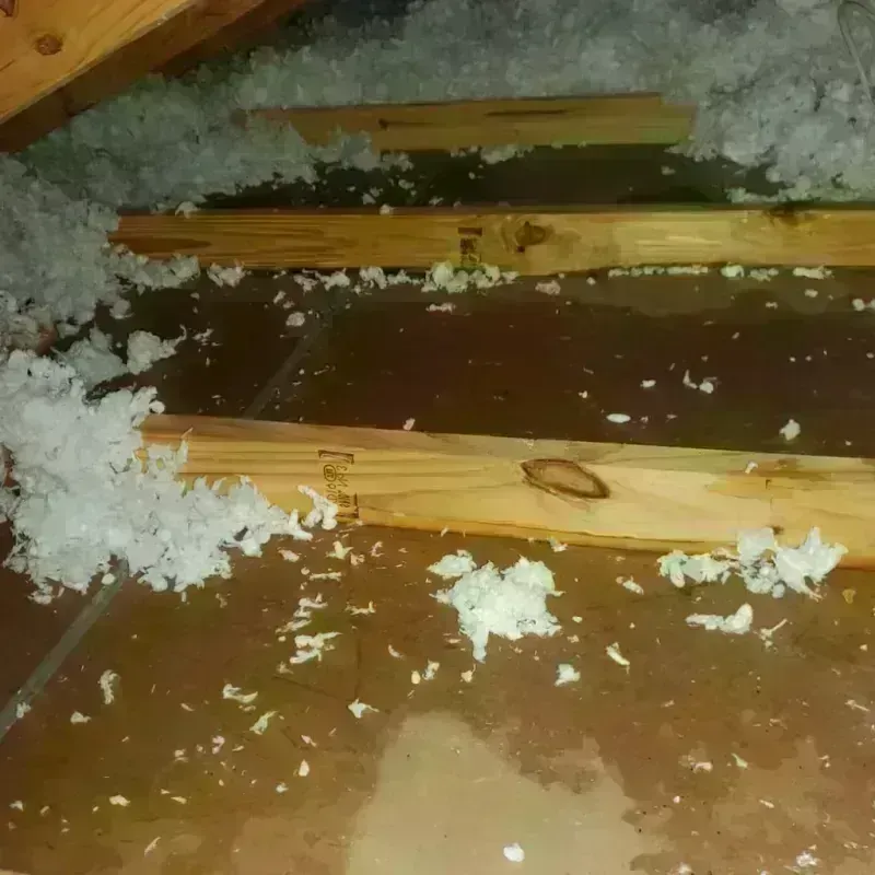 Attic Water Damage in El Paso County, CO