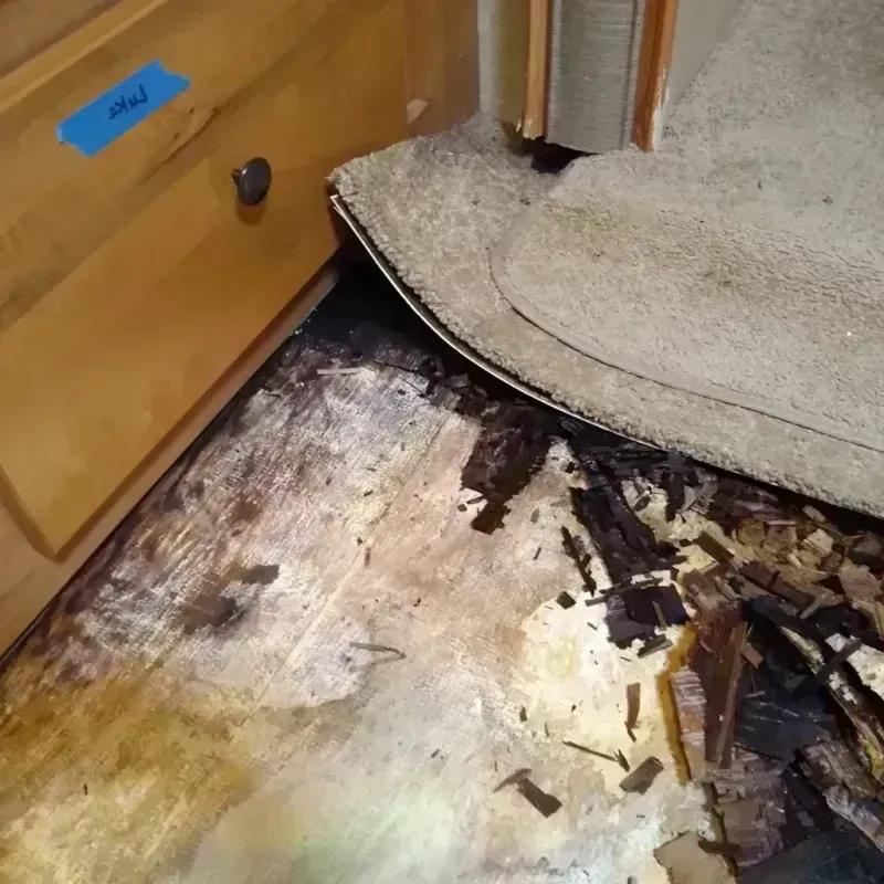 Wood Floor Water Damage in El Paso County, CO